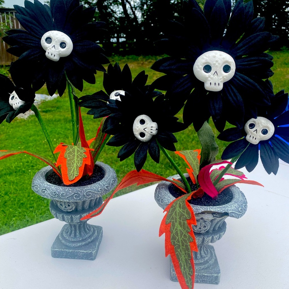 (2) Hyde and eek creepy plant. Killer daisies. READ DESCRIPTION